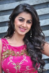 Nikki Galrani at Krishnashtami Movie Platinum Disc Function